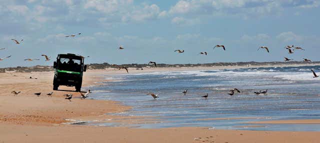 Excursión al Parque Nacional de Doñana