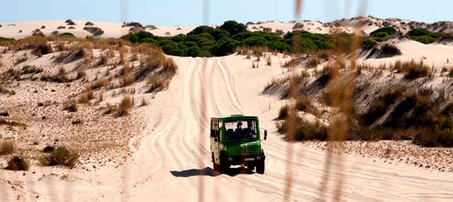 Visita guiada por el Parque Nacional de Doñana
