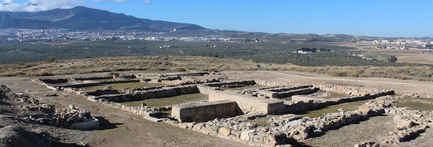 Visita guiada por el yacimiento de Puente Tablas