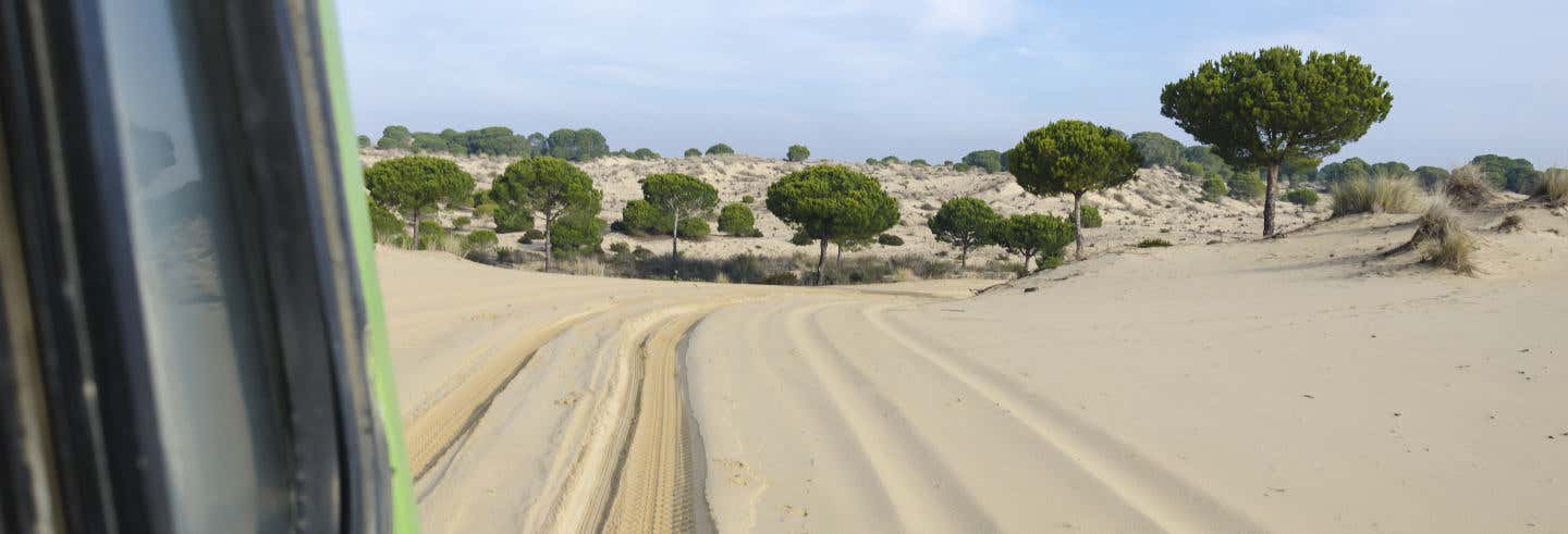 Excursión a Sanlúcar y Doñana