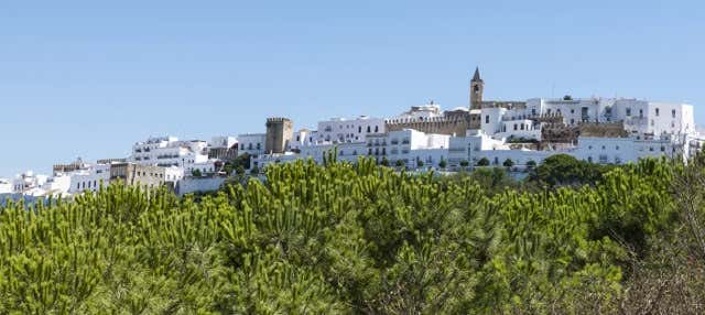 Excursão a Vejer e Medina Sidonia