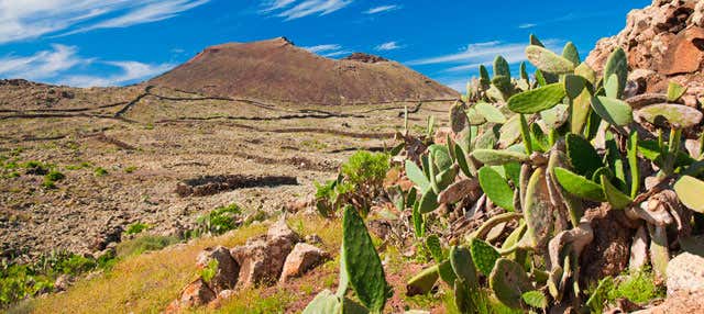Excursão a Fuerteventura