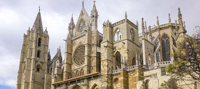 Free tour por León ¡Gratis!