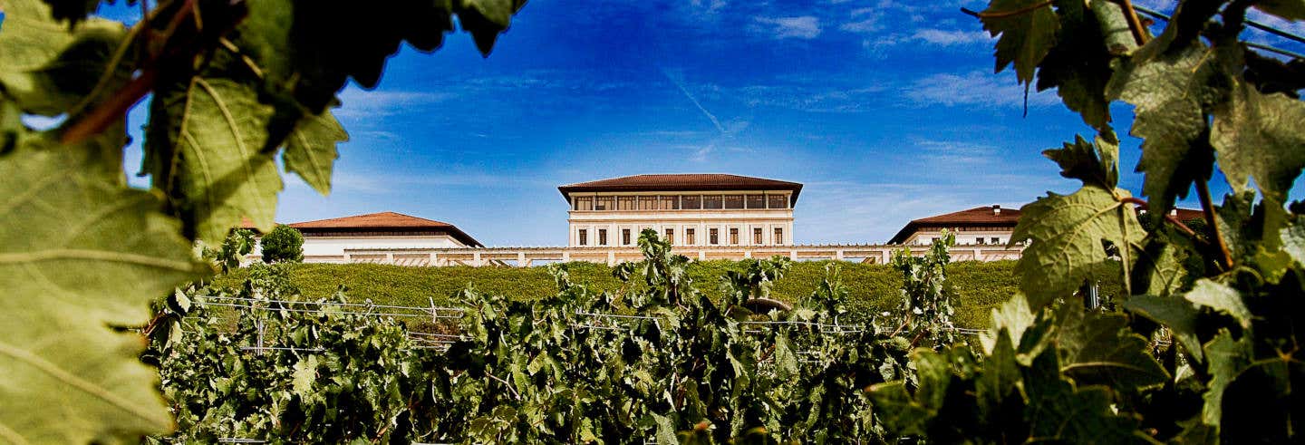 Visita a la bodega Rioja Vega