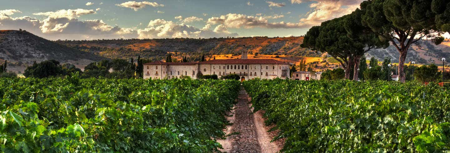 Excursión a las bodegas de la Ribera del Duero