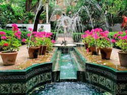 Os jardins do museu