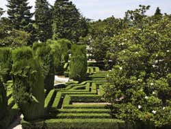 Os jardins de Sabatini
