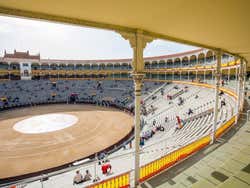 Plaza de Toros de Las Ventas, interior