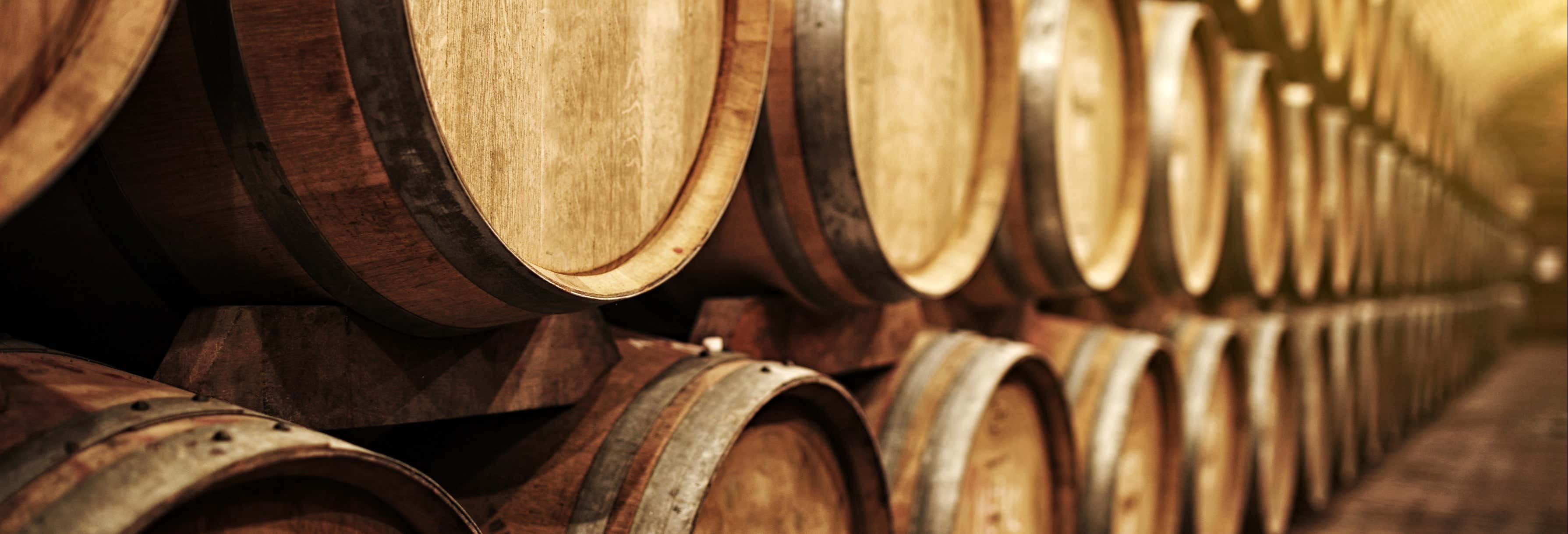 Tour del vino por La Mancha