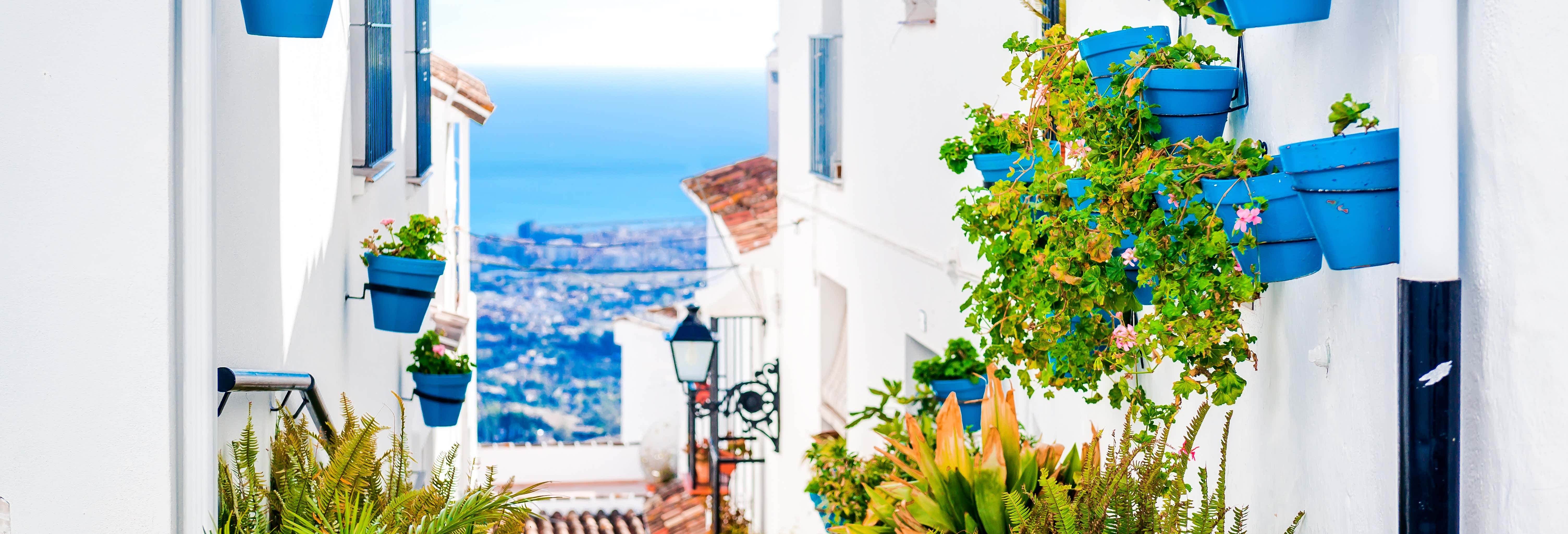 Excursión a Marbella y Mijas