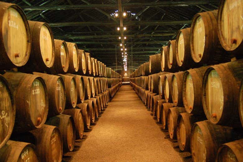 Excursión a Ronda y visita a una bodega desde Málaga