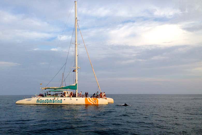 catamaran tour malaga