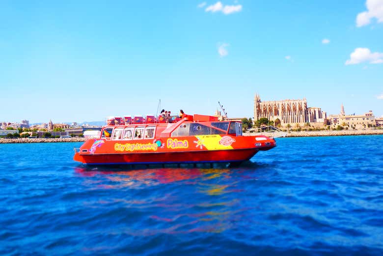 Autobus Turistico De Palma De Mallorca Civitatis Com