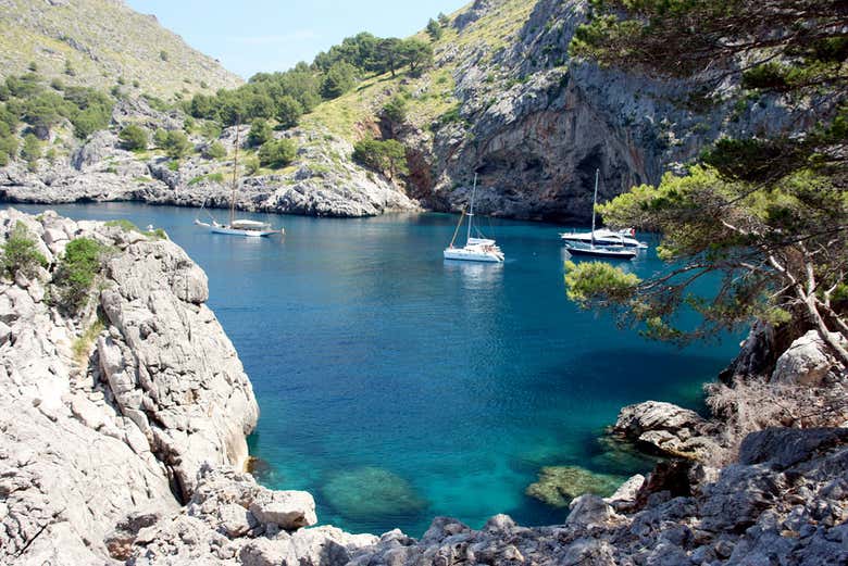 Boat To Sa Calobra From Sóller - 