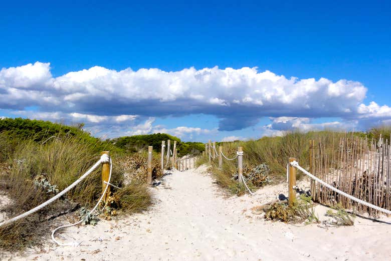 Escursione Libera Alla Spiaggia Di Es Trenc