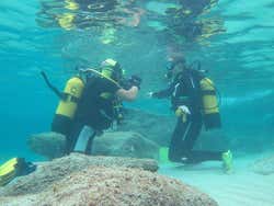 Praticando em águas pouco profundas