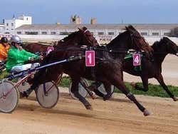 Corrida em Menorca