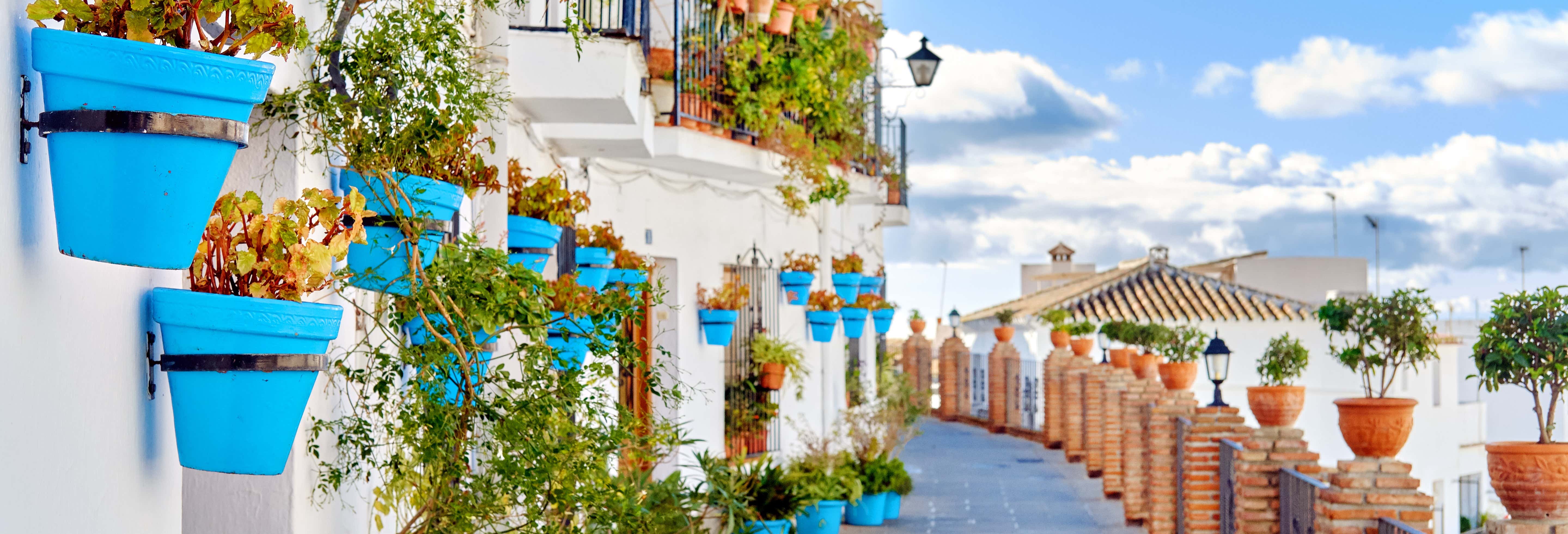 Tour privado por Mijas ¡Tú eliges!