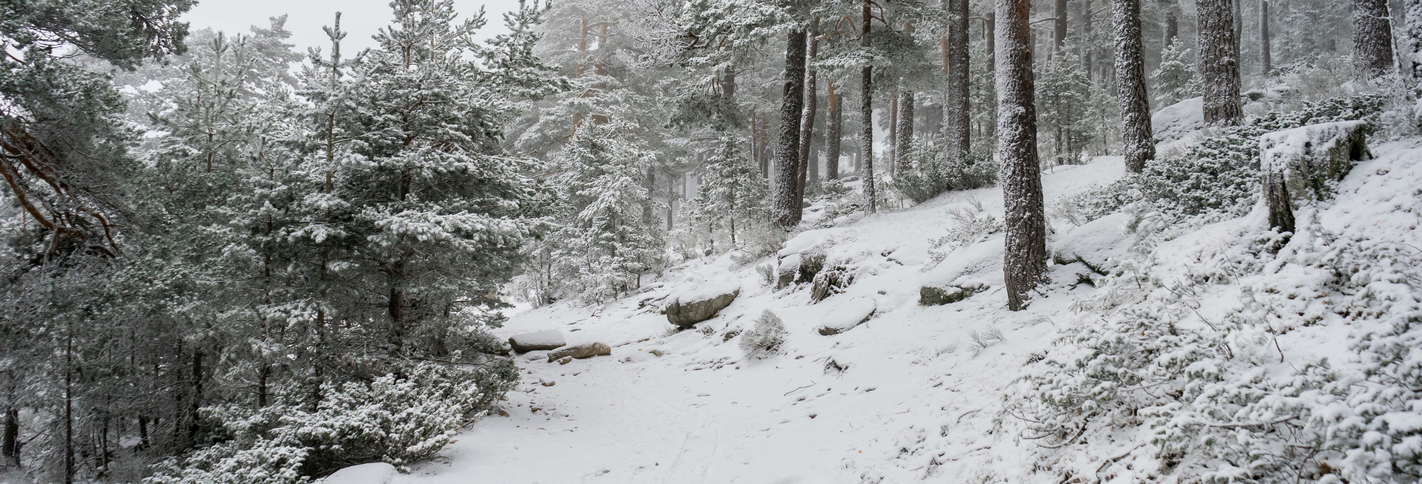 Paseo con raquetas de nieve por la Sierra de Guadarrama