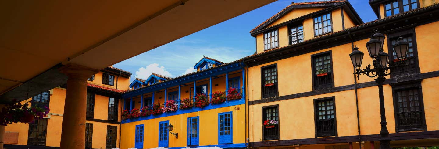 Tour privado por Oviedo ¡Tú eliges!