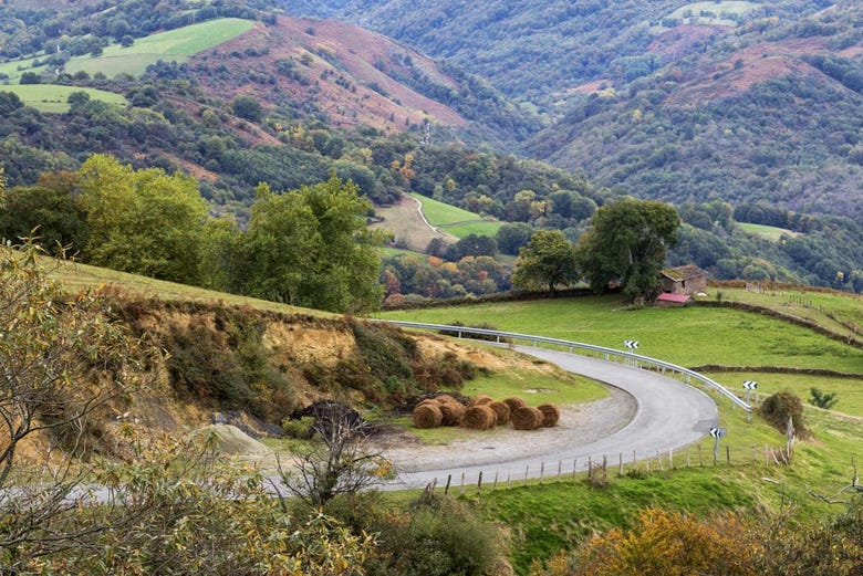 Excursão de Pamplona ao vale de Baztan - Reserve em Civitatis.com