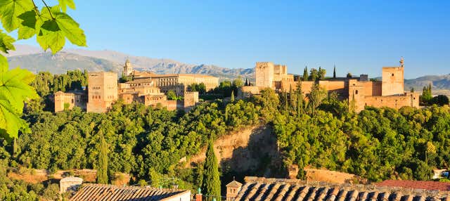 Escursione all'Alhambra di Granada