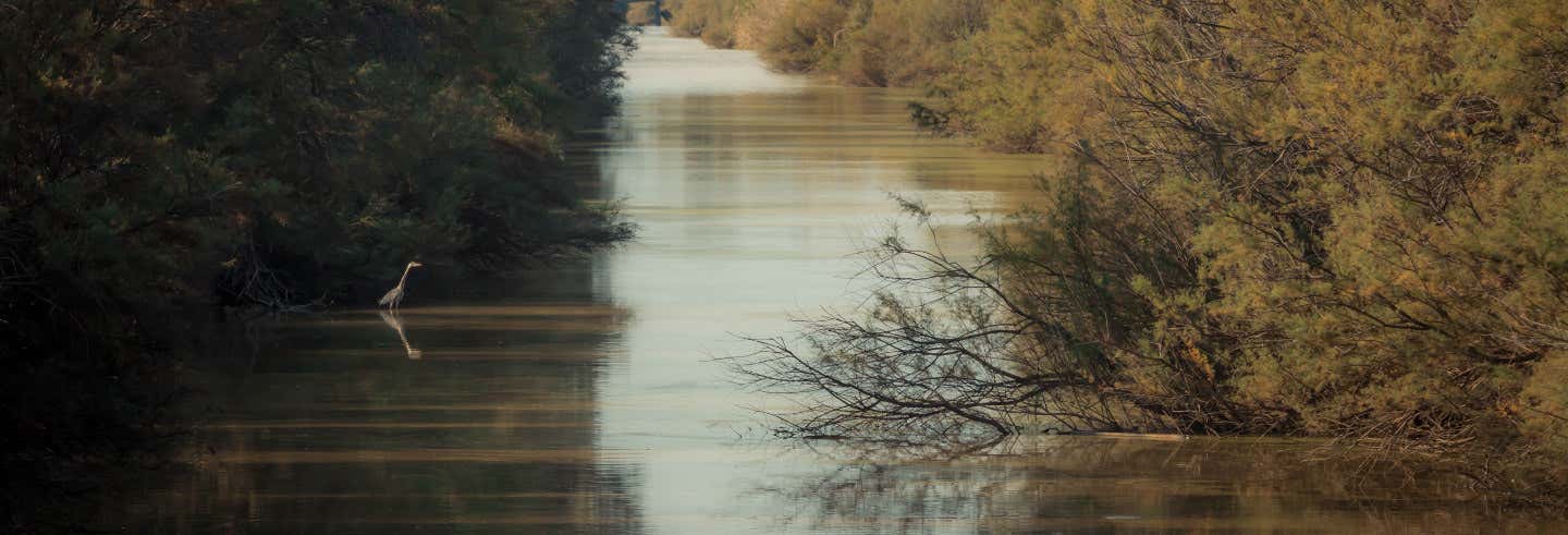 Excursión al Parque Nacional de Doñana