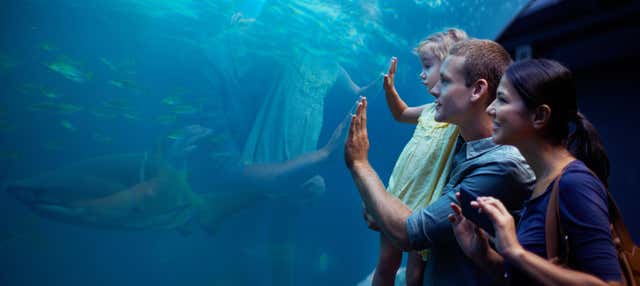Costa de Almeria Aquarium Ticket