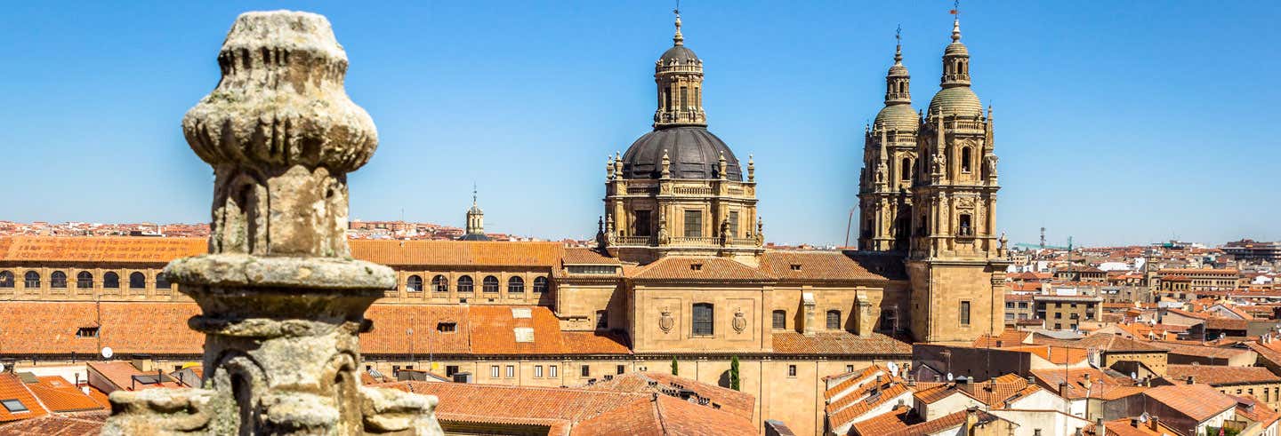 Visita guiada por Salamanca + Tren turístico
