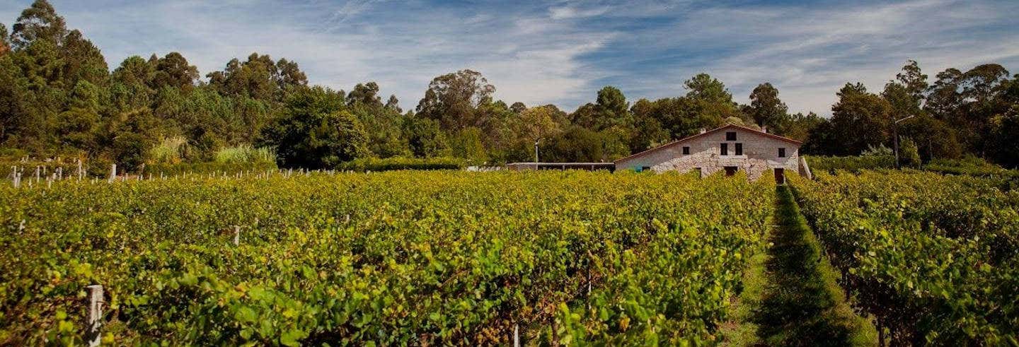 Visita a la bodega Corisca