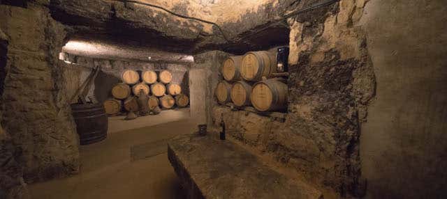 Visita a las Bodegas Lecea