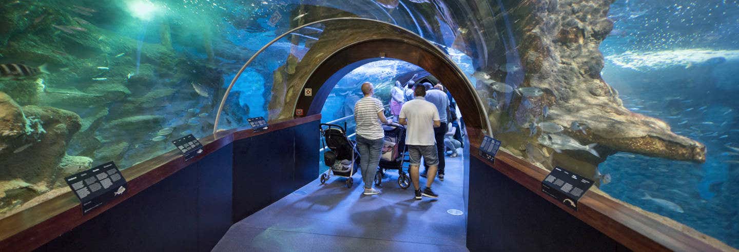 Entrada al Aquarium de San Sebastián