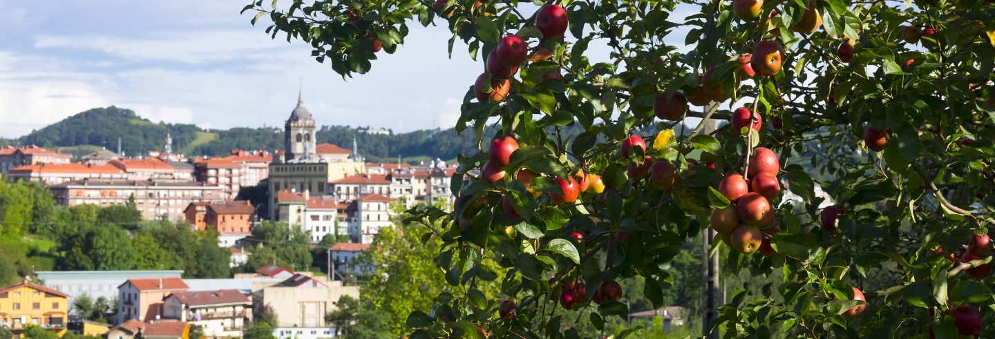 Tour de la sidra por San Sebastián