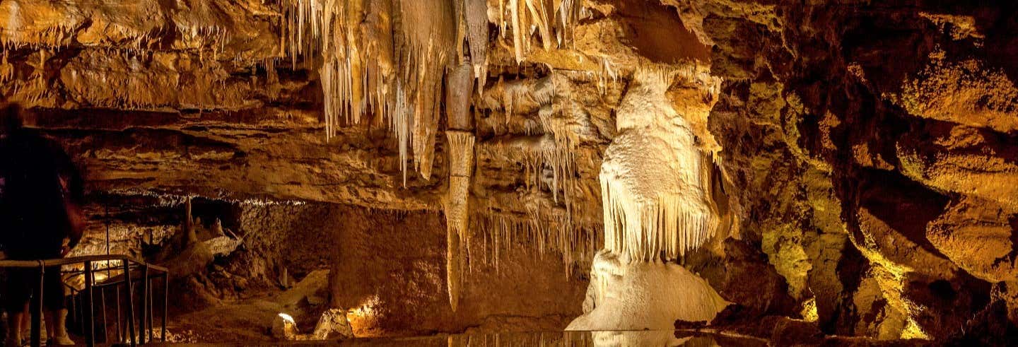 Visita guiada por la Cueva El Soplao
