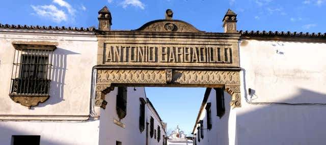 Free tour por Sanlúcar ¡Gratis!