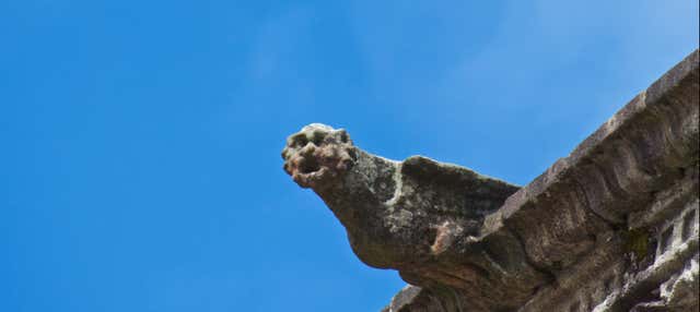 Tour dei gargoyle di Santiago de Compostela
