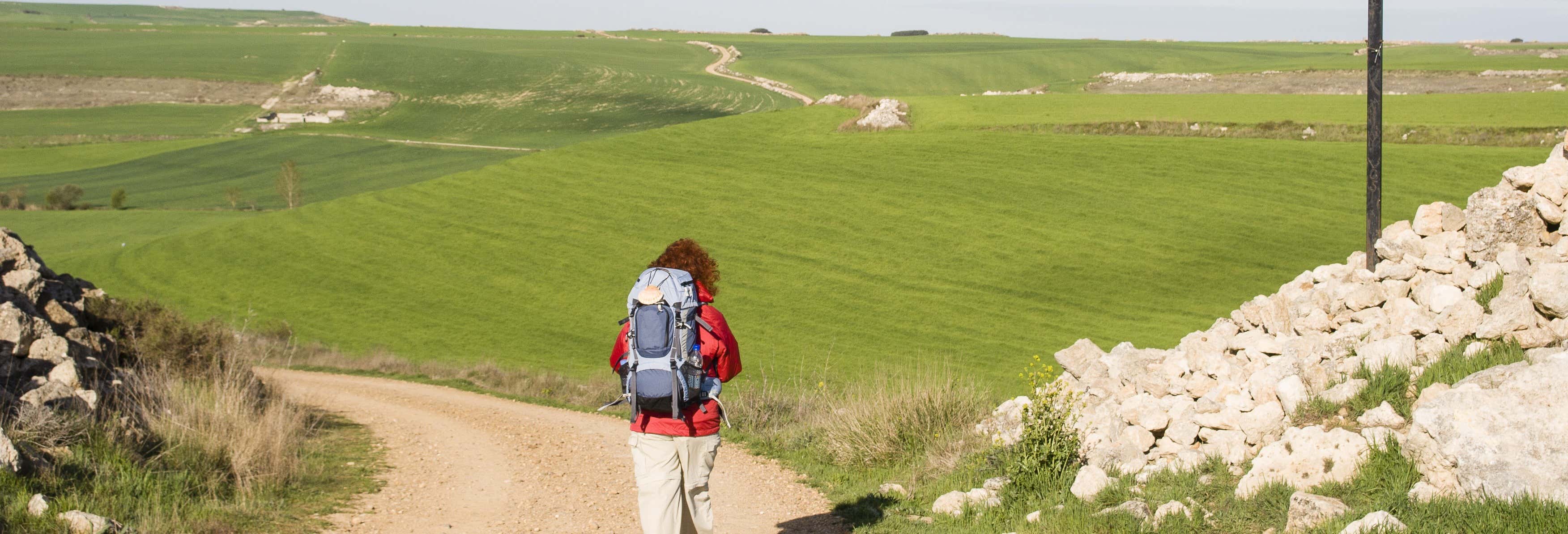 Tour del peregrino ¡Últimos kilómetros del Camino de Santiago!
