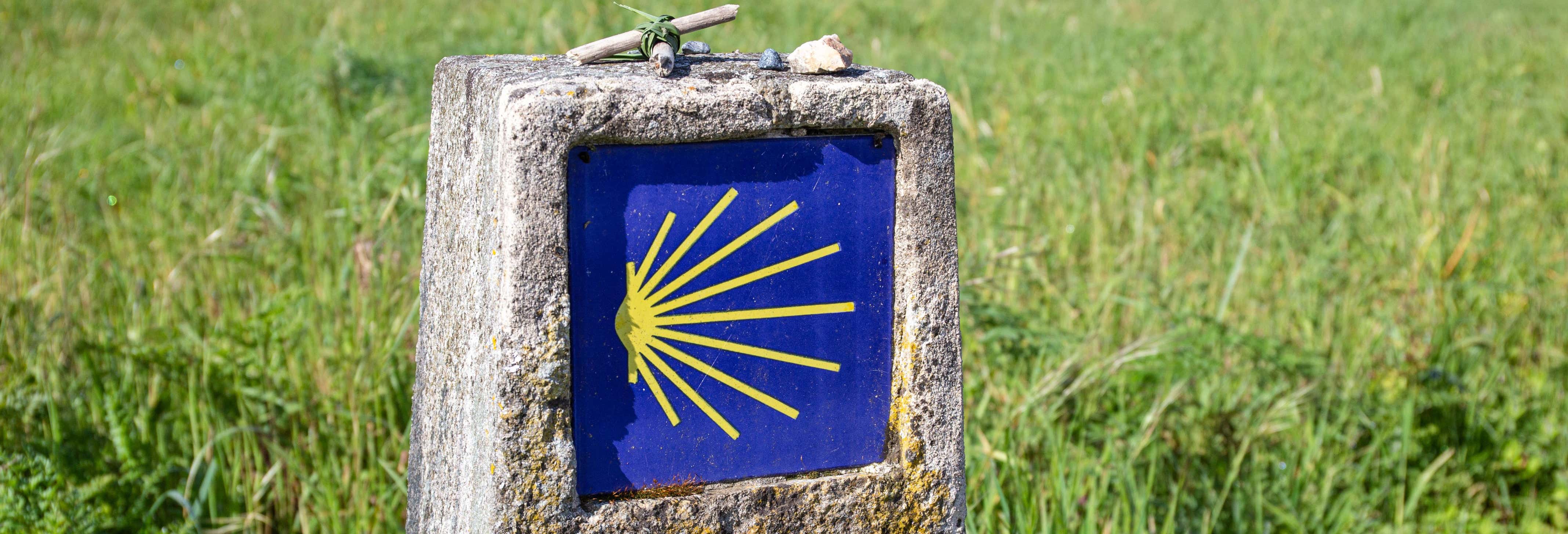 camino-santiago-frances-7-dias.jpg