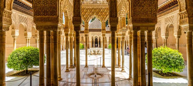 Excursion to the Alhambra in Granada