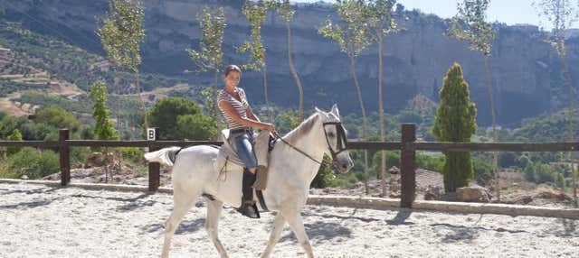 Paseo a caballo por El Aljarafe