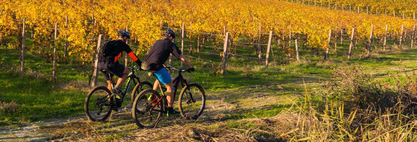 vineyard bike tour