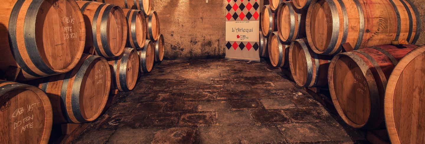 Visita a la bodega Mas Vicenç