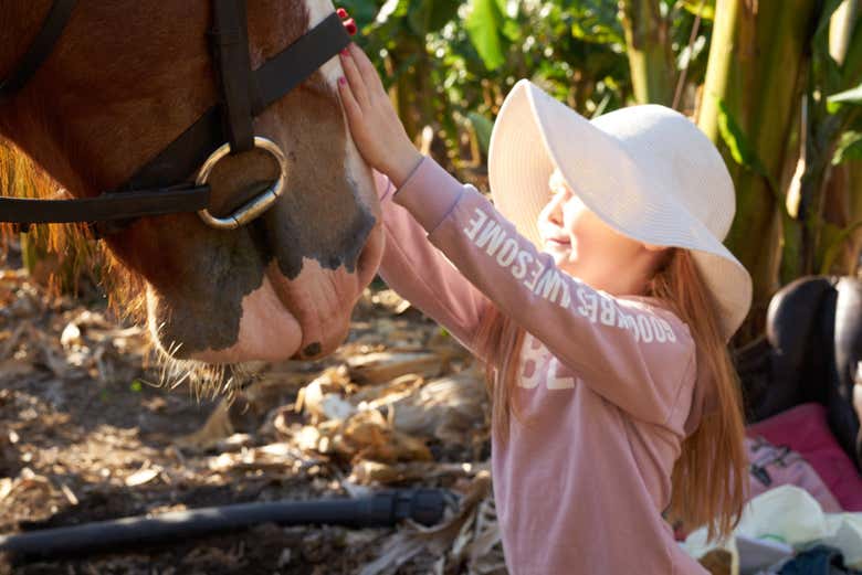 Interagindo com os cavalos na Costa Adeje