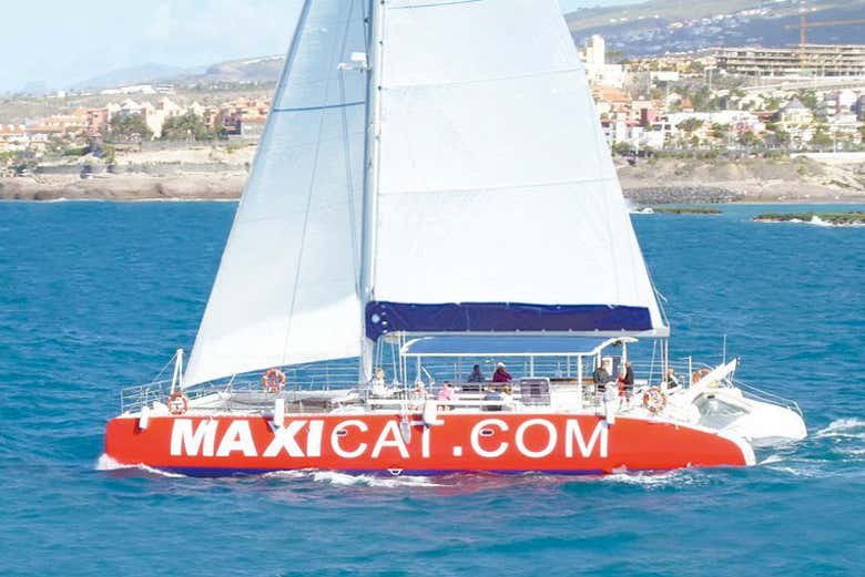 Passeio de catamarã por Tenerife