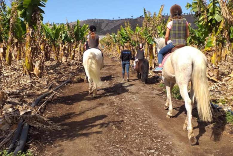 Desfrutando do passeio a cavalo