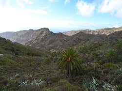 Barrancos de La Gomera