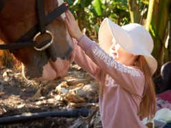 Interagindo com os cavalos na Costa Adeje