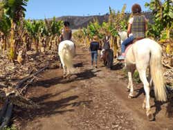 Desfrutando do passeio a cavalo