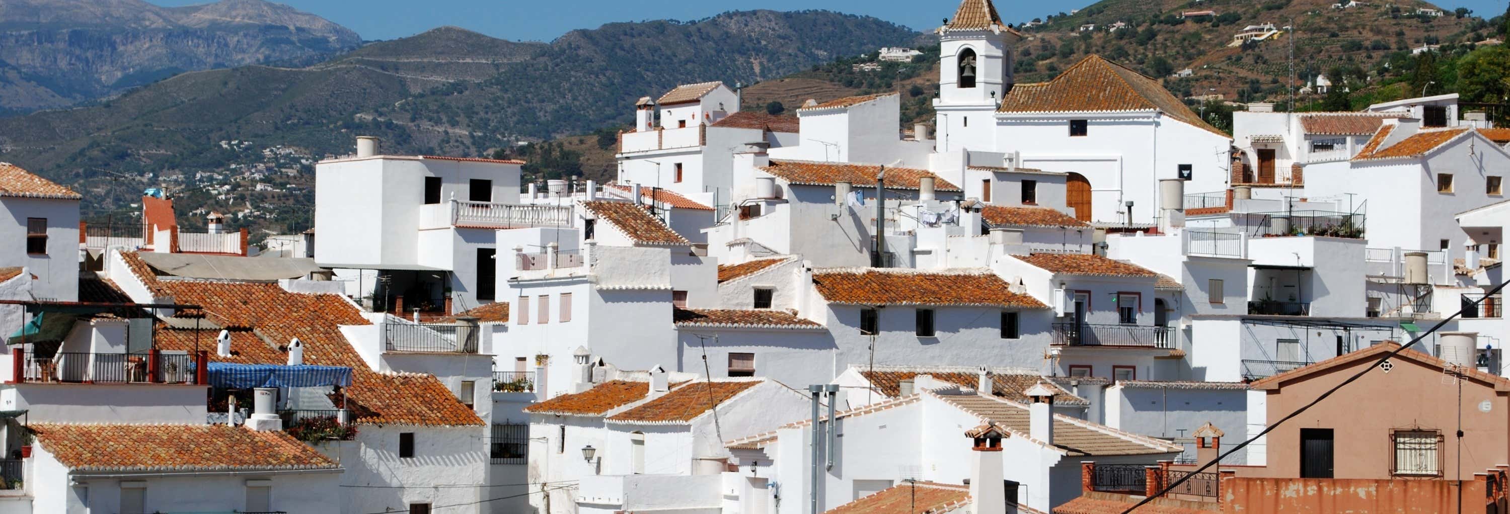 Excursión a los pueblos blancos