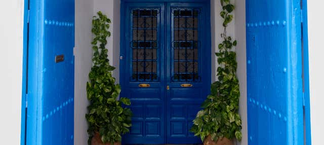 Tour por Frigiliana y cuevas de Nerja